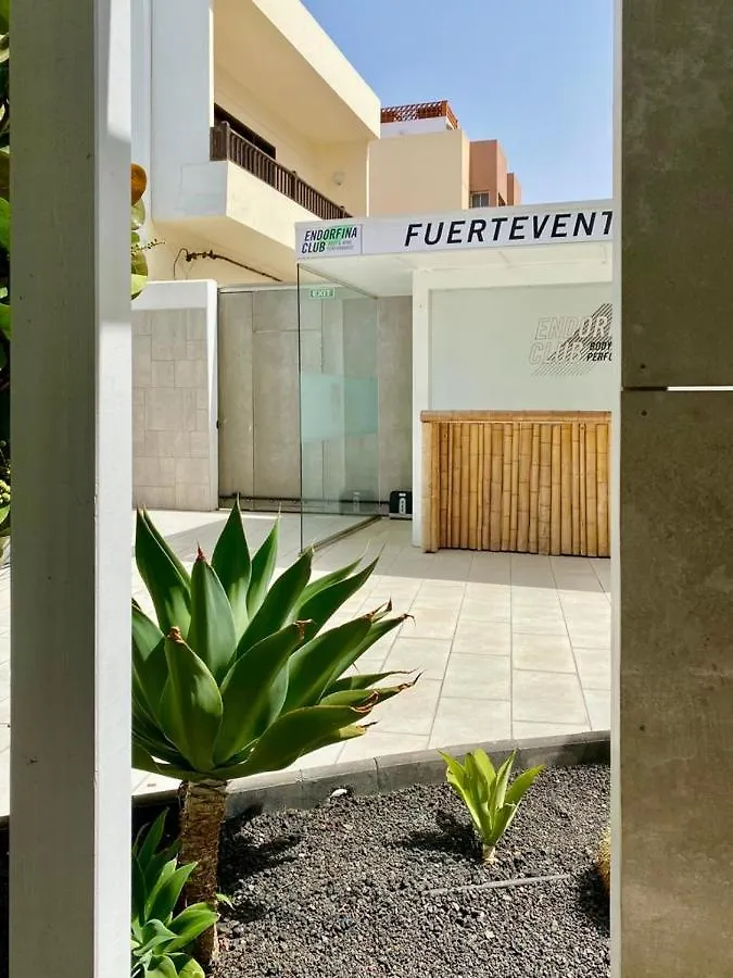 Casa Perla - Cozy Apartment Pool Side Corralejo